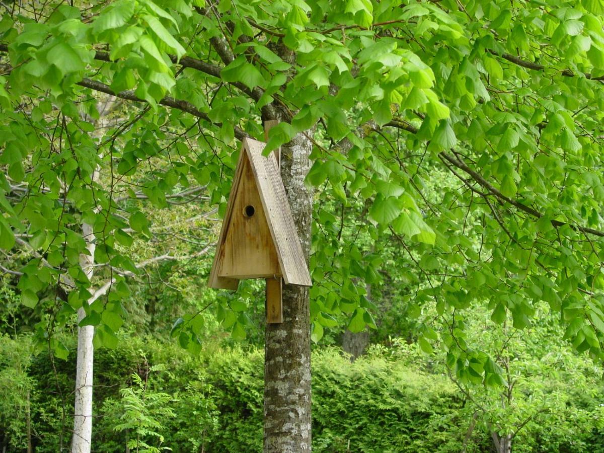 Ferienwohnung Geismayr Дорнбирн Екстериор снимка